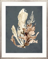 Margate Coral VII Large with Champagne Silver Frame