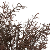 Santolina Bush - Brown